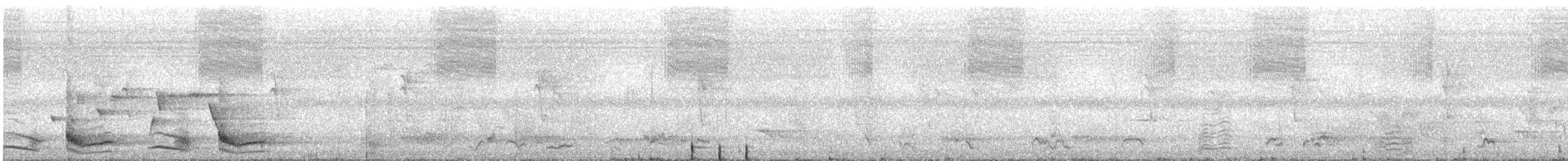 Glattstirn-Lederkopf - ML646760927