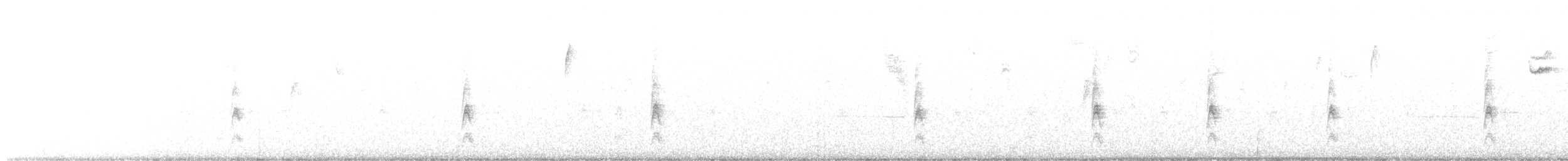 Singammer - ML646761010