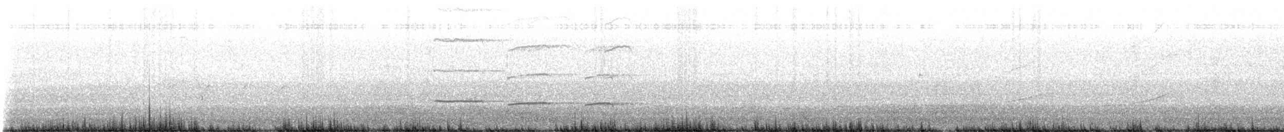 Großschwanzgrackel - ML646761176