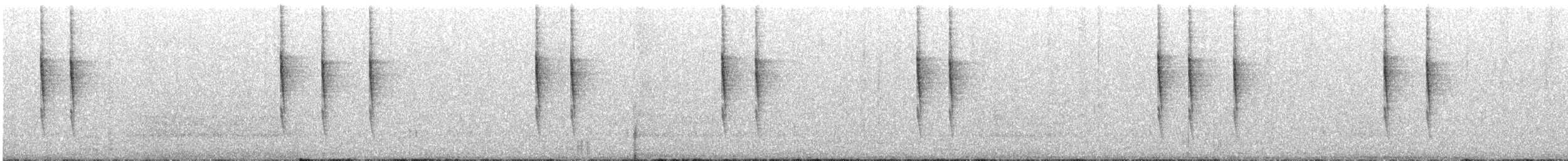 Волоочко кордильєрське - ML646761575