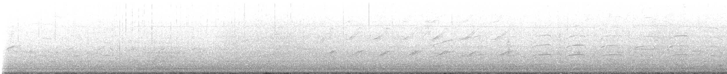 Набережник плямистий - ML646761815