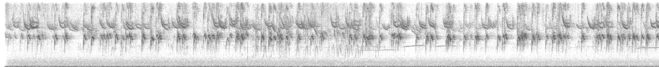 Chingolo Gorjiblanco - ML646762426