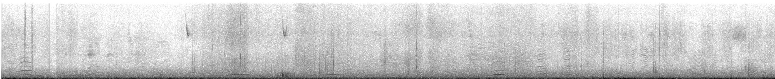 Tundra Swan - ML646762843