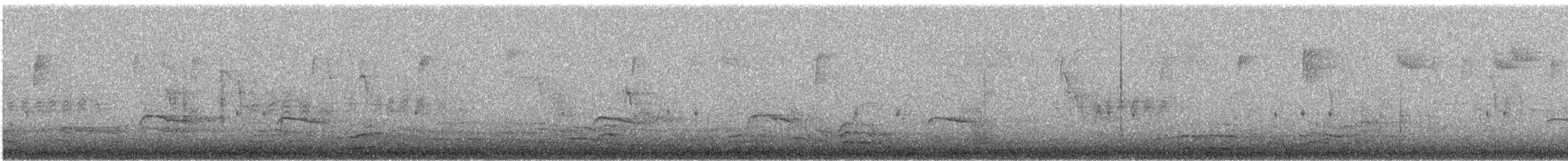 Coyote - ML646762965