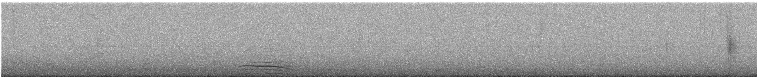 Chouette leptogramme - ML646762973