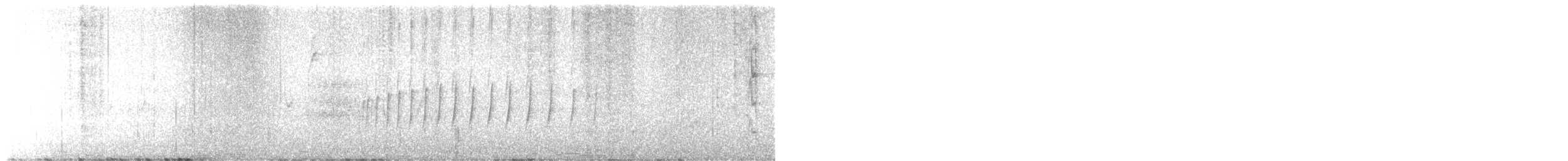 White-throated Tyrannulet - ML646763004