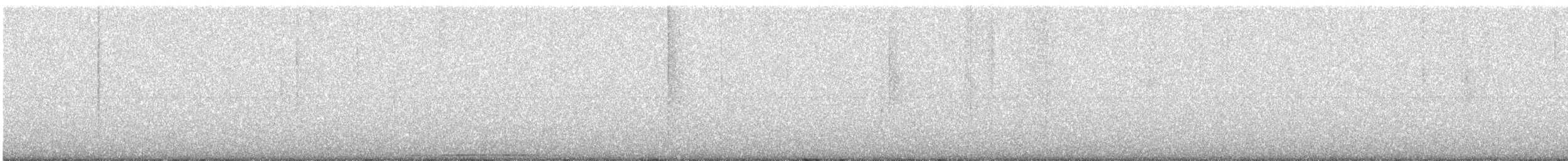 Chouette leptogramme - ML646763300