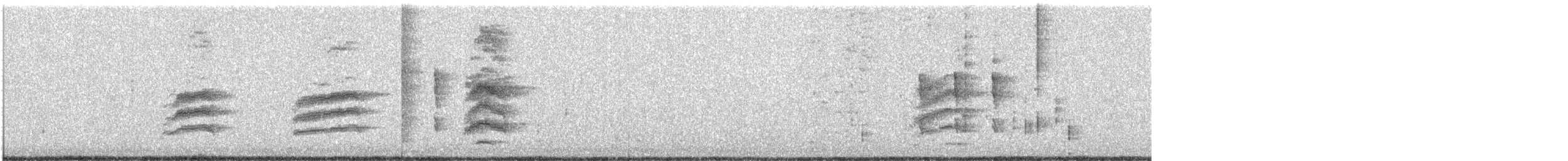 Пятнистый тохи - ML646763602