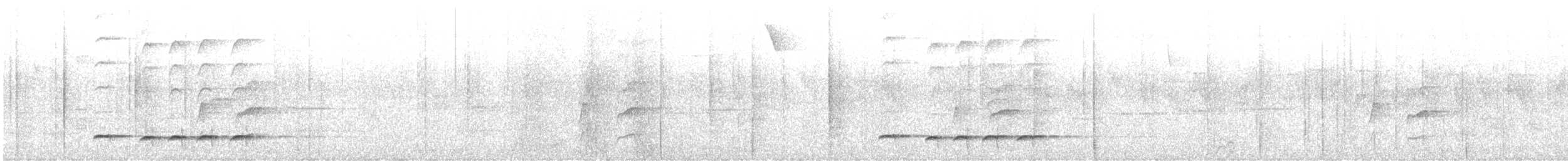 Bay Antpitta - ML646764615