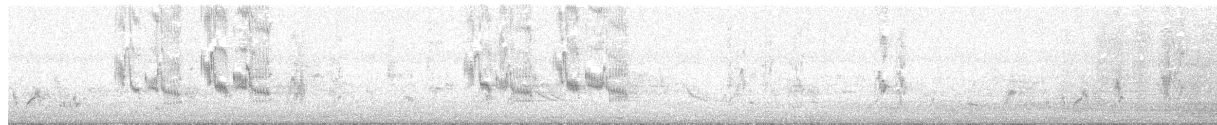 Шпак чорношиїй - ML646764645