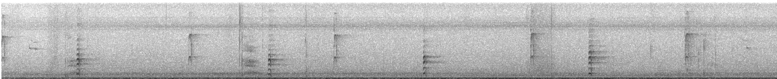 slípka americká - ML646764929