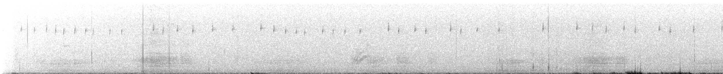 Bell's Sparrow - ML646764985