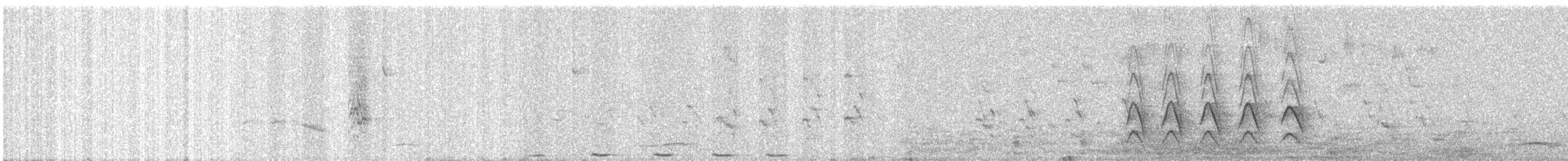 Greater Coucal - ML646765531