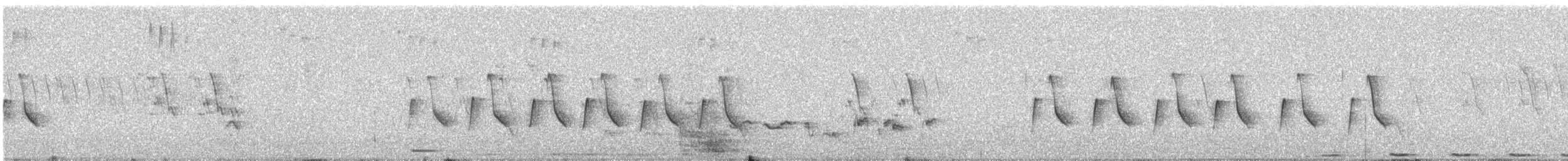 Common Tailorbird - ML646765565