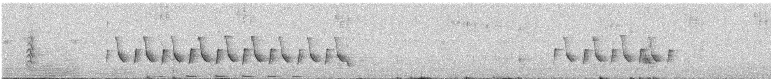 Greater Coucal - ML646765600