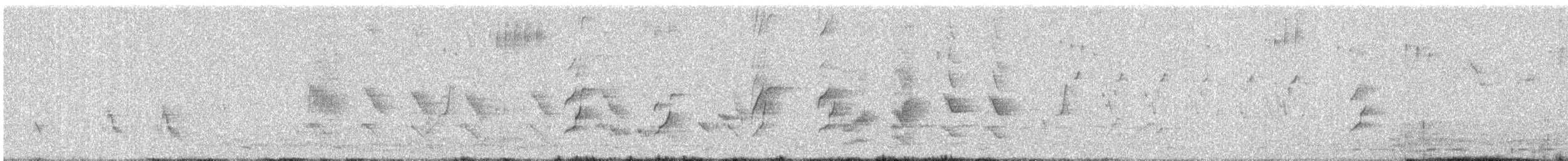 Rose-ringed Parakeet - ML646765647