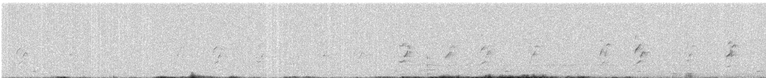 Plum-headed Parakeet - ML646765656