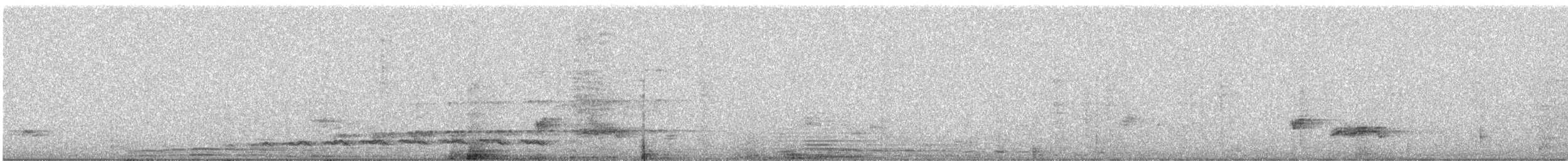 Asian Koel - ML646765822