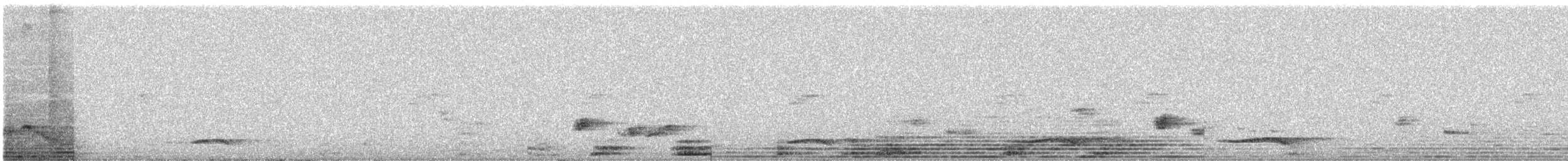 Asian Koel - ML646765835