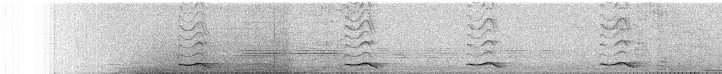 Asian Koel - ML646765913