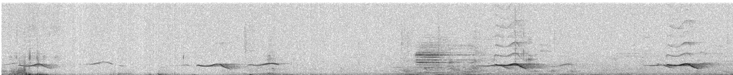 Asian Koel - ML646765926