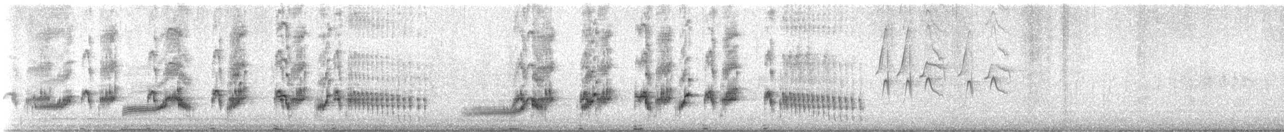 Plumbeous Rail - ML646766140