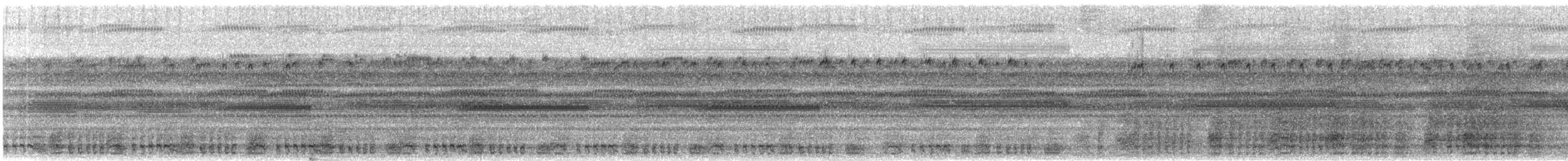 West Mexican Chachalaca - ML646766356