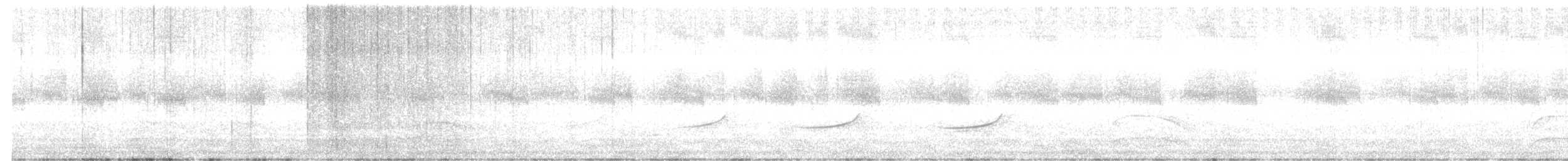 White-bellied Seedeater - ML646766442