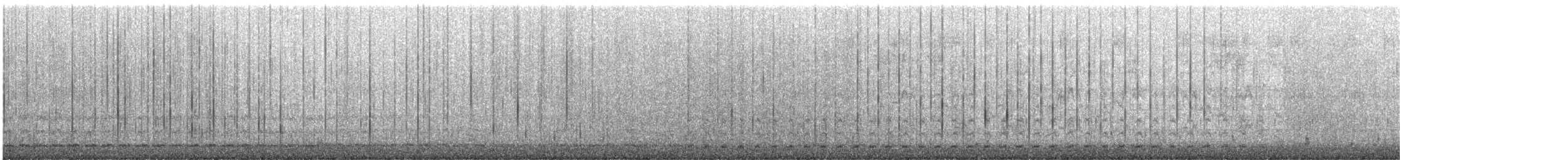 Surf Scoter - ML646766446