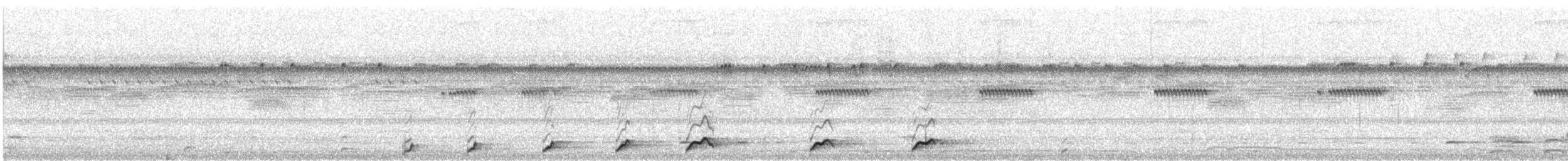 Common Pauraque - ML646766449