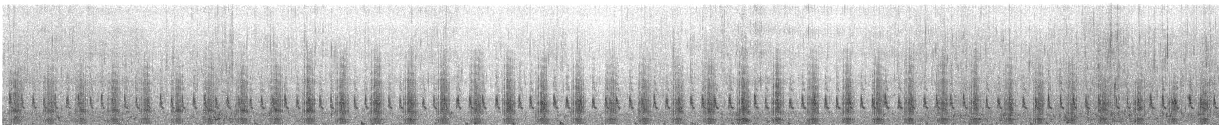 Flightless Steamer-Duck - ML646766619