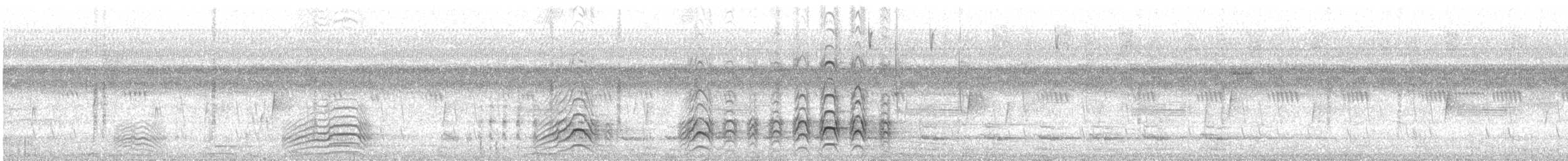 veivåk - ML646766684