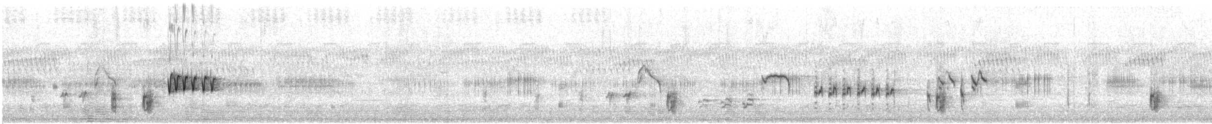 Rousserolle d'Australie - ML646767419