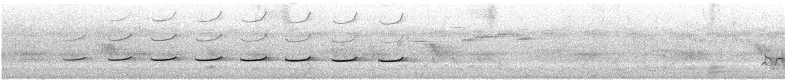 Coucou éclatant (plagosus) - ML646767425