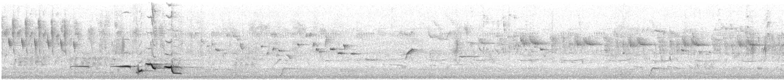 Siffleur gris - ML646767428