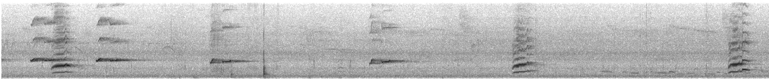 plystreskjære (dorsalis) - ML646767467