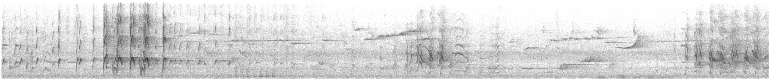 svarthodeparakitt - ML646767492