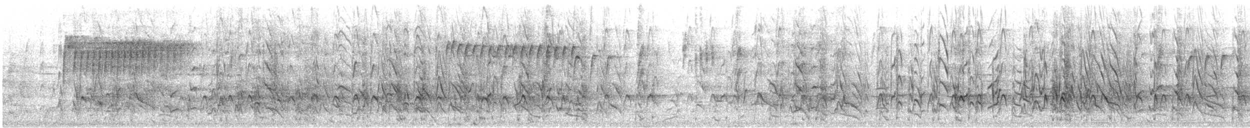 svarthodeparakitt - ML646767493