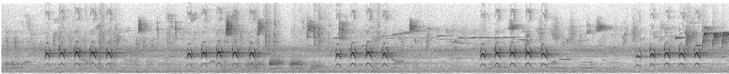 maskaraisfugl (sanctus) - ML646767500