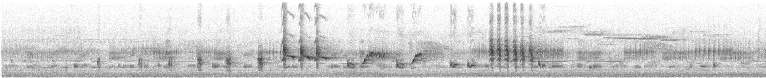 australkjerrsanger - ML646767505