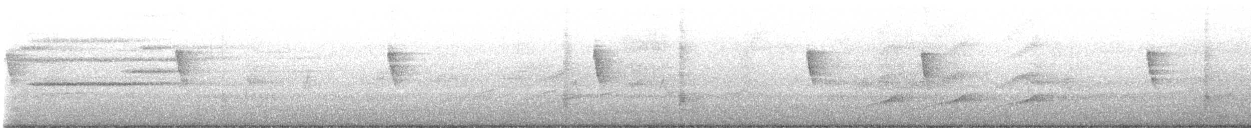 Bay-breasted Warbler - ML646767721