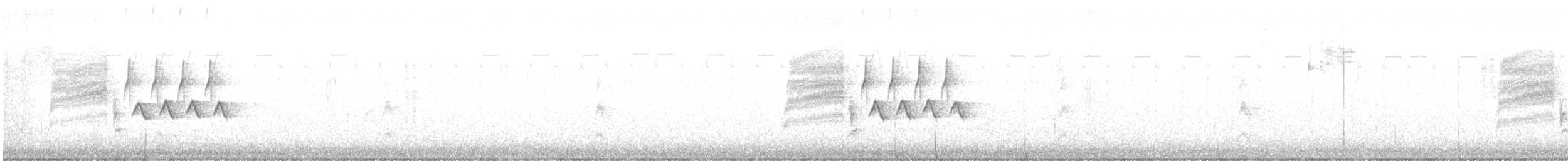 Bewick's Wren - ML646768622