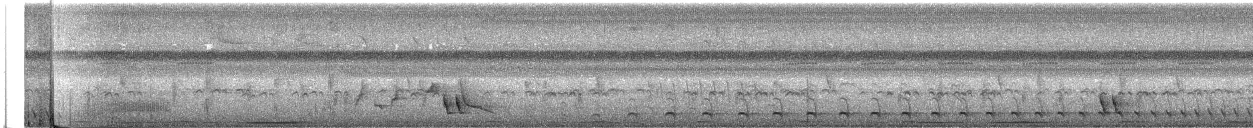 Great Antshrike - ML646769033