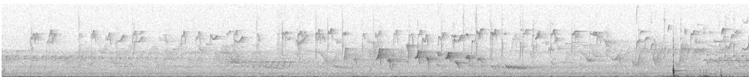 Varied Sittella - ML646769277