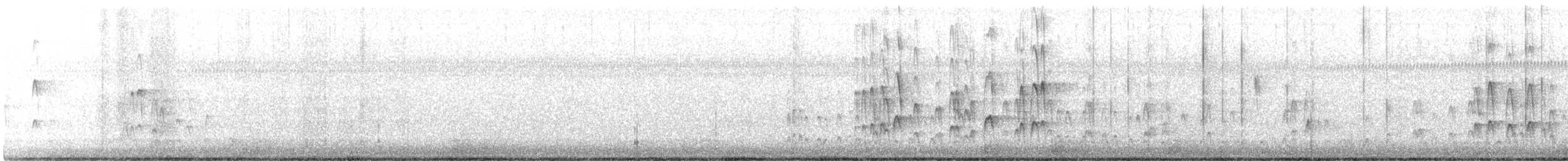 Red-cockaded Woodpecker - ML646769449