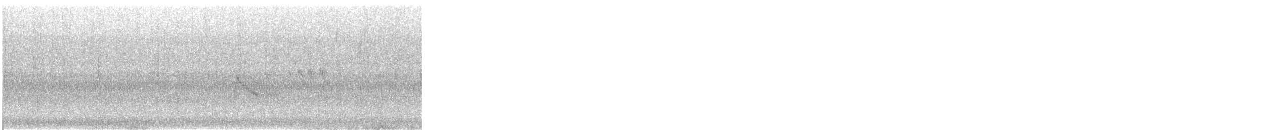 Bicknell's Thrush - ML646769837