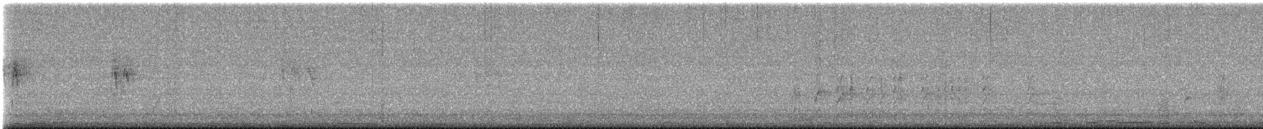 White Wagtail - ML646770400