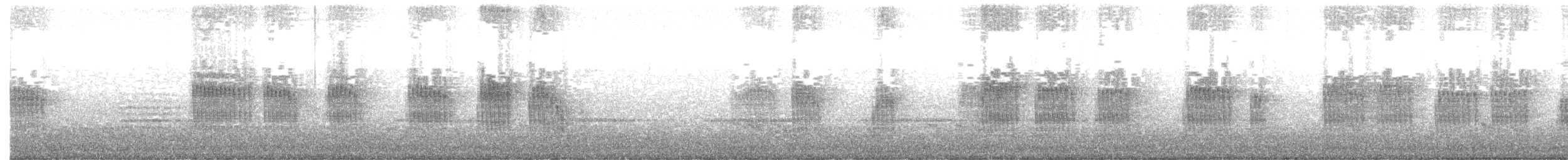 Китайская кустарница - ML646770630