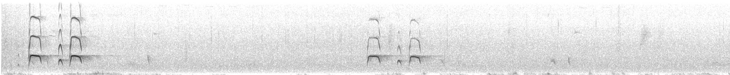 Avustralya Poyrazkuşu - ML646771169