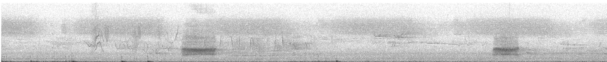 Torresian Crow - ML646771203